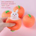 Carrot Bunny 🐰make life more joy