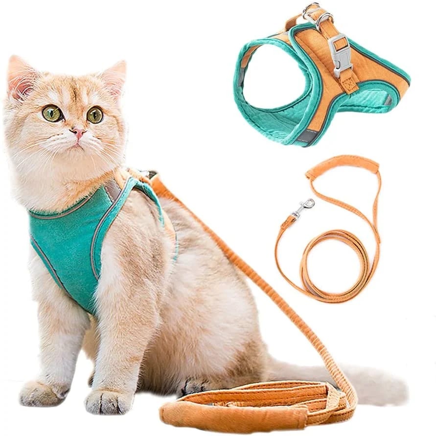 ⚡⚡Luminous Cat Vest Harness and Leash Set